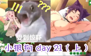 Tải video: 【Camp buddy】无节操 小狼狗（老公）day 21（上）实况解说～