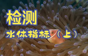 Download Video: 玩淡水、海水缸理论基础——水质检测氨氮、亚硝酸盐、硝酸盐、PH指标