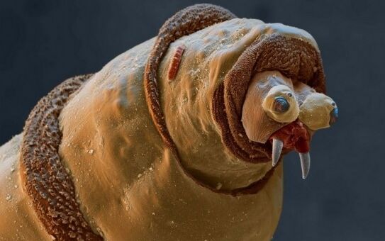 我 陪玩蛆 想活到第2个圈_哔哩哔哩 (b-b)つロ 干杯~-bilibili