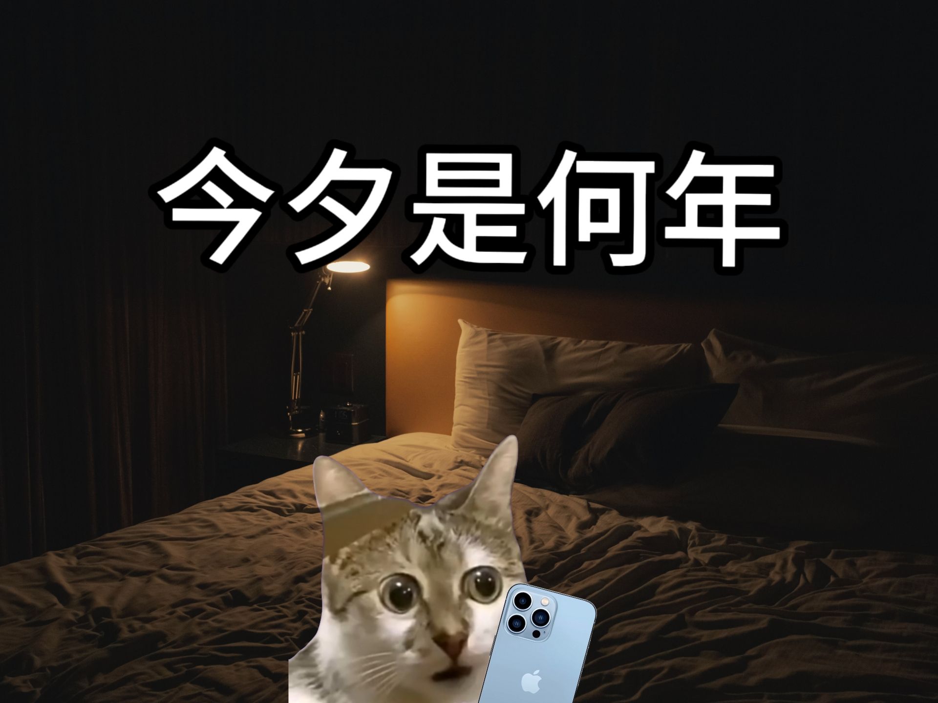 今夕是何年网络用语意思