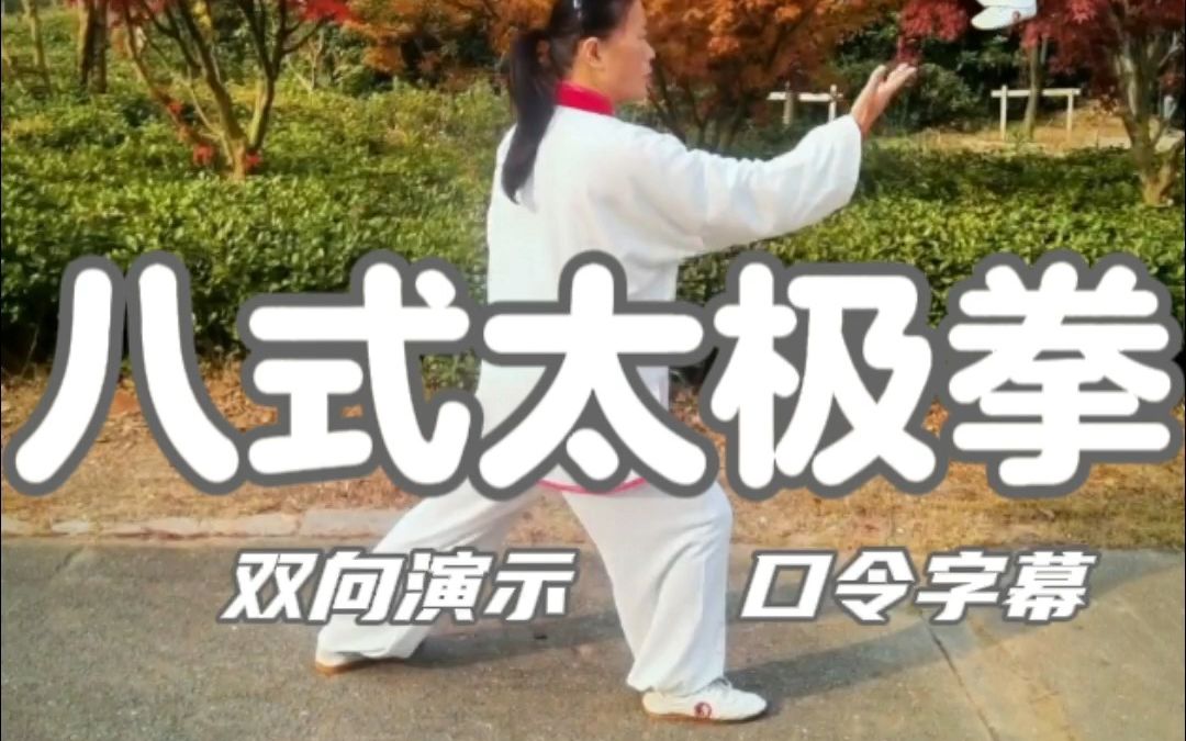 初学太极可以从这套拳开始:八式太极拳正面背面双向对照演示(口令字幕)哔哩哔哩bilibili