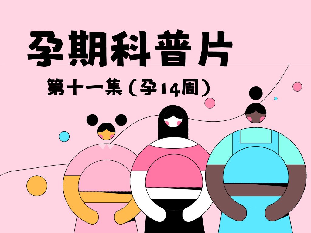 初次怀孕必看的神级科普片!丨孕14周哔哩哔哩bilibili