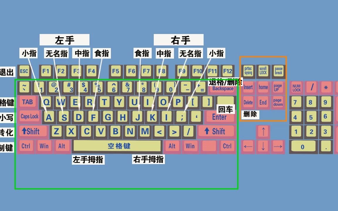 零基础学电脑打字入门教程,老师一步一步教会你哔哩哔哩bilibili