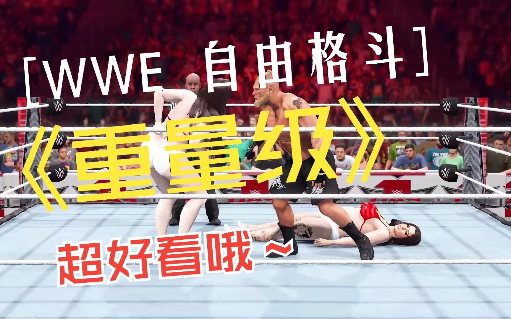 [图]3D动画格斗，WWE Raw 亮点，重量级女子摔跤手标签团队比赛