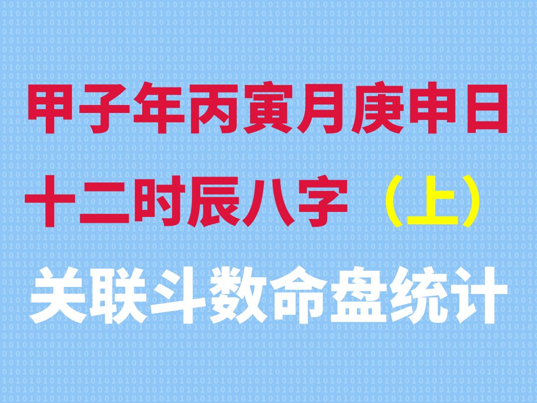 甲子年丙寅月庚申日十二时辰八字关联斗数命盘统计(上集)哔哩哔哩bilibili