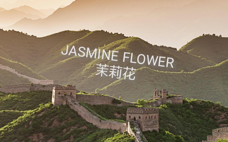 [图]库乐队GARAGE BAND JASMINE FLOWER茉莉花 半原创