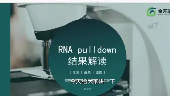 RNA pulldown实验结果揭秘：准备到鉴定之旅