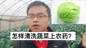 Download Video: 蔬菜上的农药怎么清洗掉？教你一个小技巧，蔬菜干净又健康！