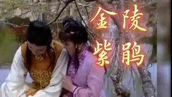 Download Video: 假如紫鹃用南京话试探宝玉丨『你妹妹，回苏州家去』