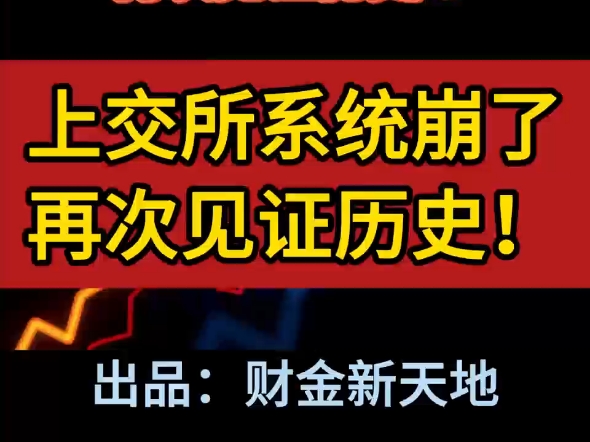 见证历史了!上交所的系统被干崩了.最近的大A太疯狂!9月27日早上一个小时成交量比上周一整天都多!#上交所#崩盘#大A#疯抢中国资产#原创视频哔...