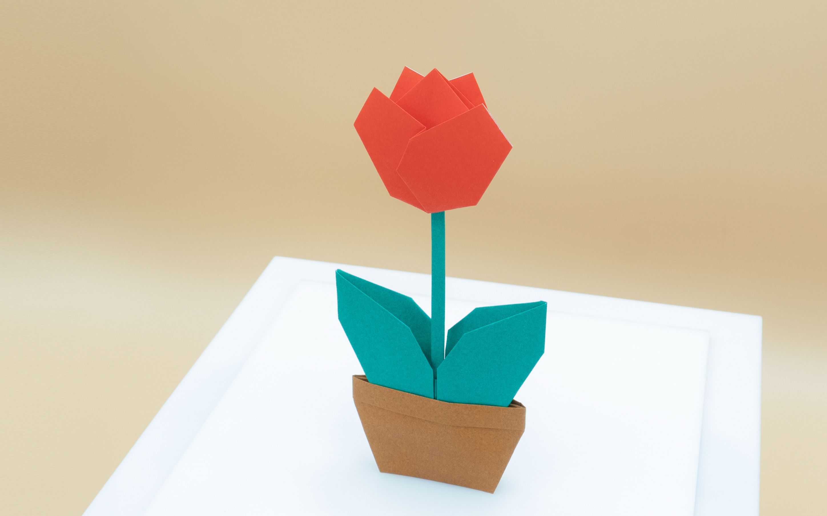 【折纸-教程】520来折盆花吧,对于小学生有点简单,成年人来说刚刚好