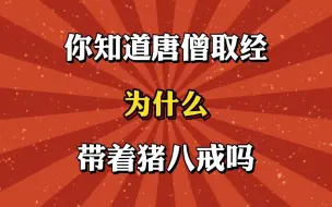 Descargar video: 你知道唐僧西天取经，为什么带着猪八戒吗？