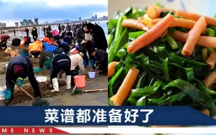 大风后，山东烟台一处海滩涌上大批海肠：有人20分钟捞100多斤