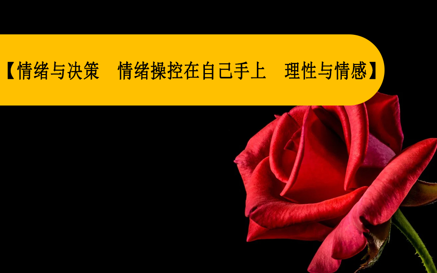 【情绪与决策 情绪操控在自己手上 理性与情感】哔哩哔哩bilibili