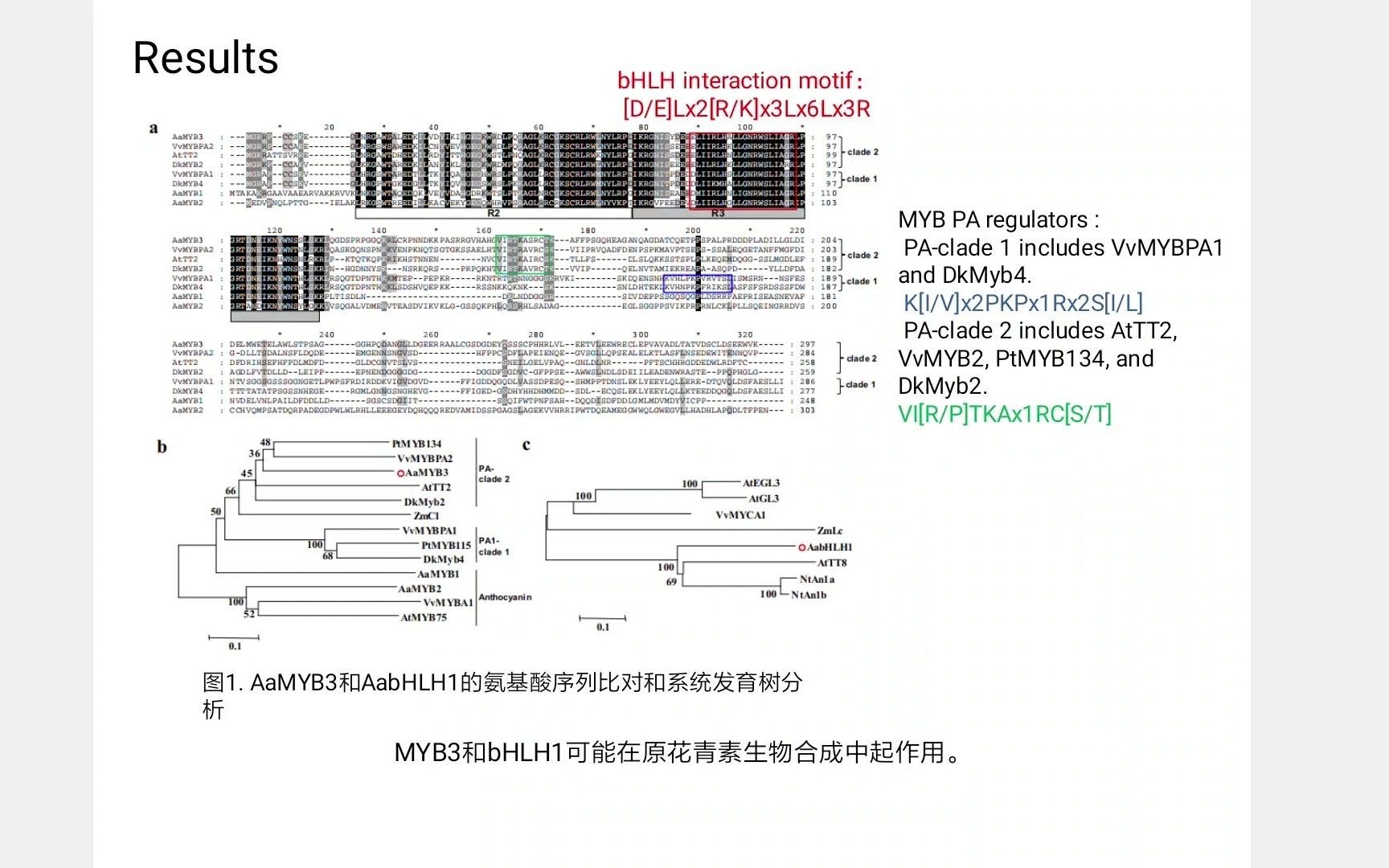 十分钟讲解Horticulture Research高分文章 红掌MYB3和bHLH1互作调节原花青素的积累哔哩哔哩bilibili