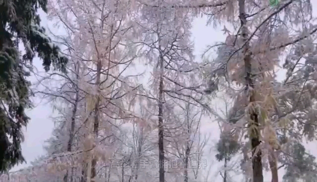 [图]大雪中的中国 作者|欧震 诵读|费军