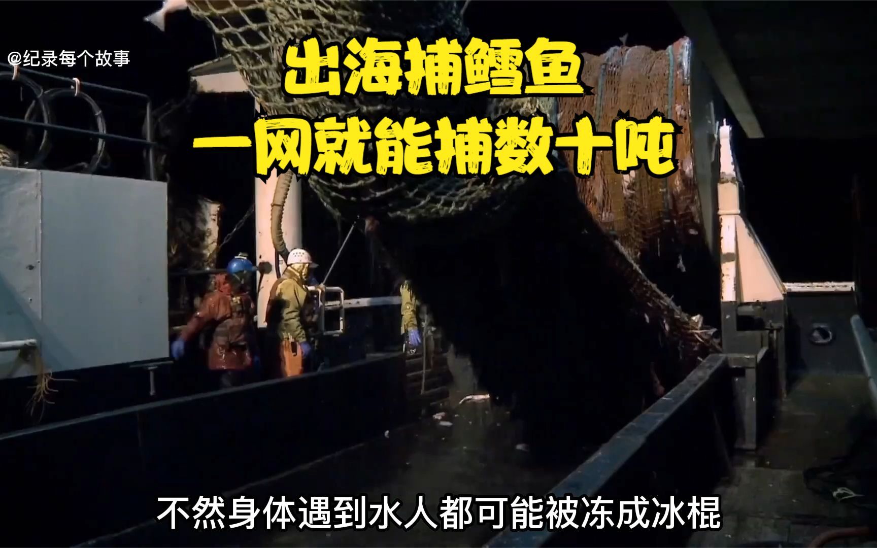 渔船捕捞鳕鱼一网就捕到几十吨,出海半个月收获几百吨价值上千万哔哩哔哩bilibili