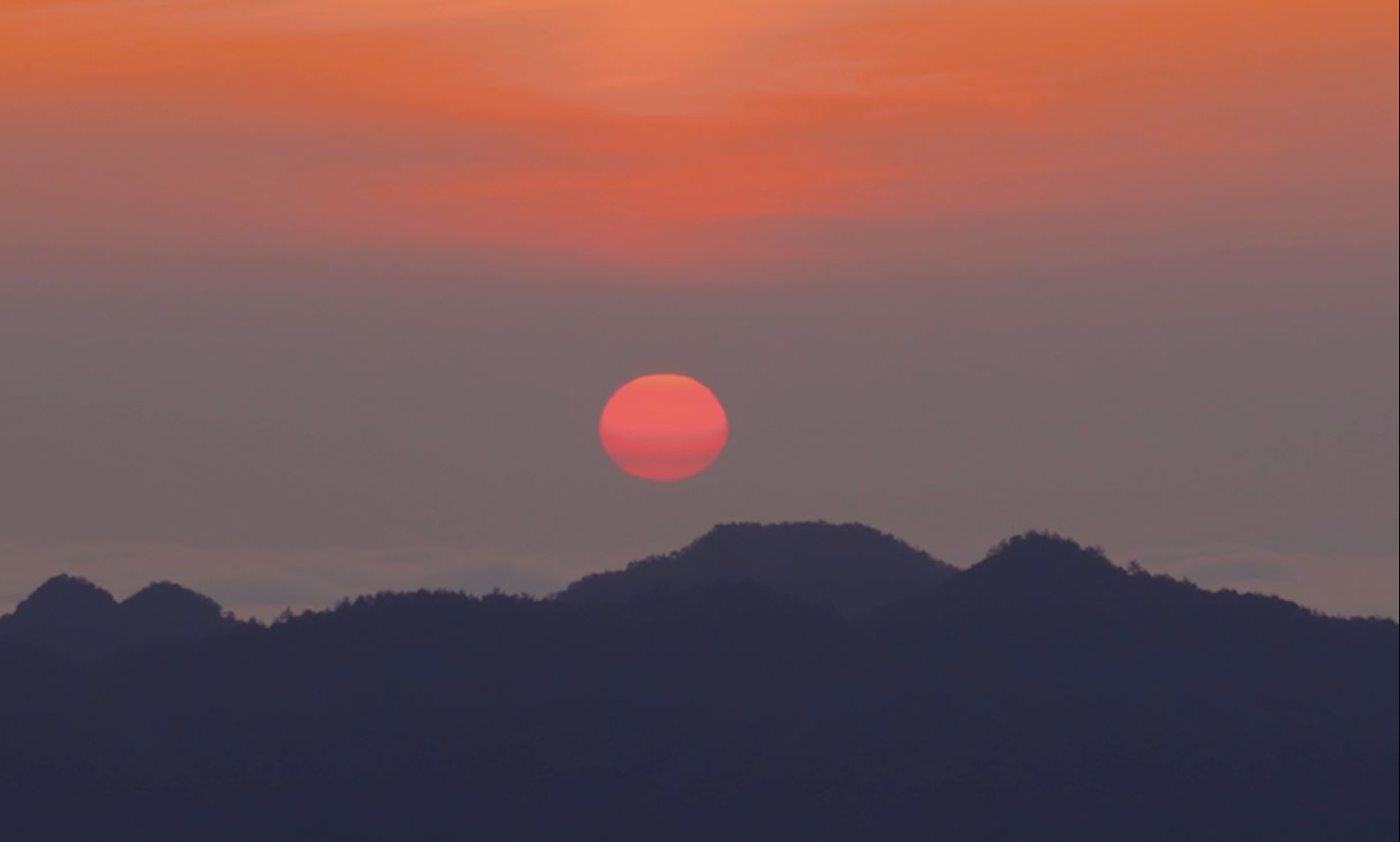 前陈圆谱(下)江南第一家 郑氏一家亲