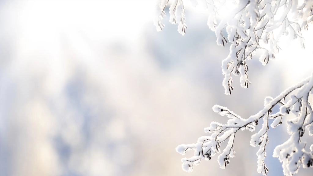 [图]玉树琼花，千里冰封，万里雪飘，欢迎来到北方才有的童话故事