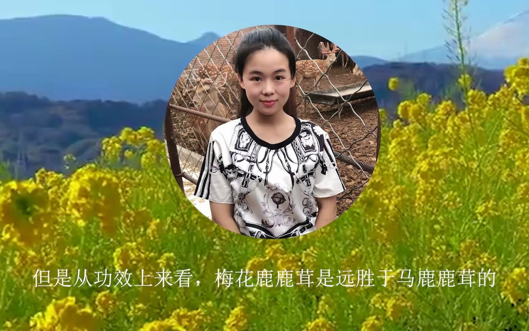 鹿茸口服液鹿茸丸鹿茸参鞭酒