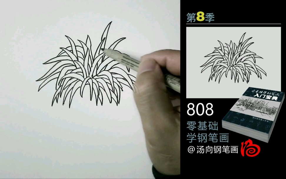 【线描风景钢笔画】零基础画画入门教程分享!超简单的小草丛画法!哔哩哔哩bilibili