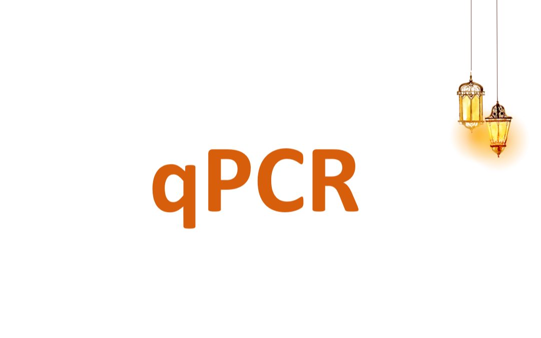 【qPCR】一起来学习qPCR的实验和结果分析!哔哩哔哩bilibili