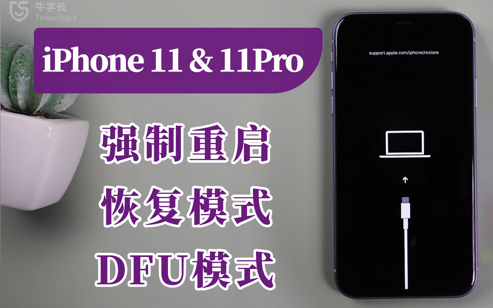 iPhone11 & 11Pro用机必备教程:强制重启、恢复模式、DFU模式哔哩哔哩bilibili