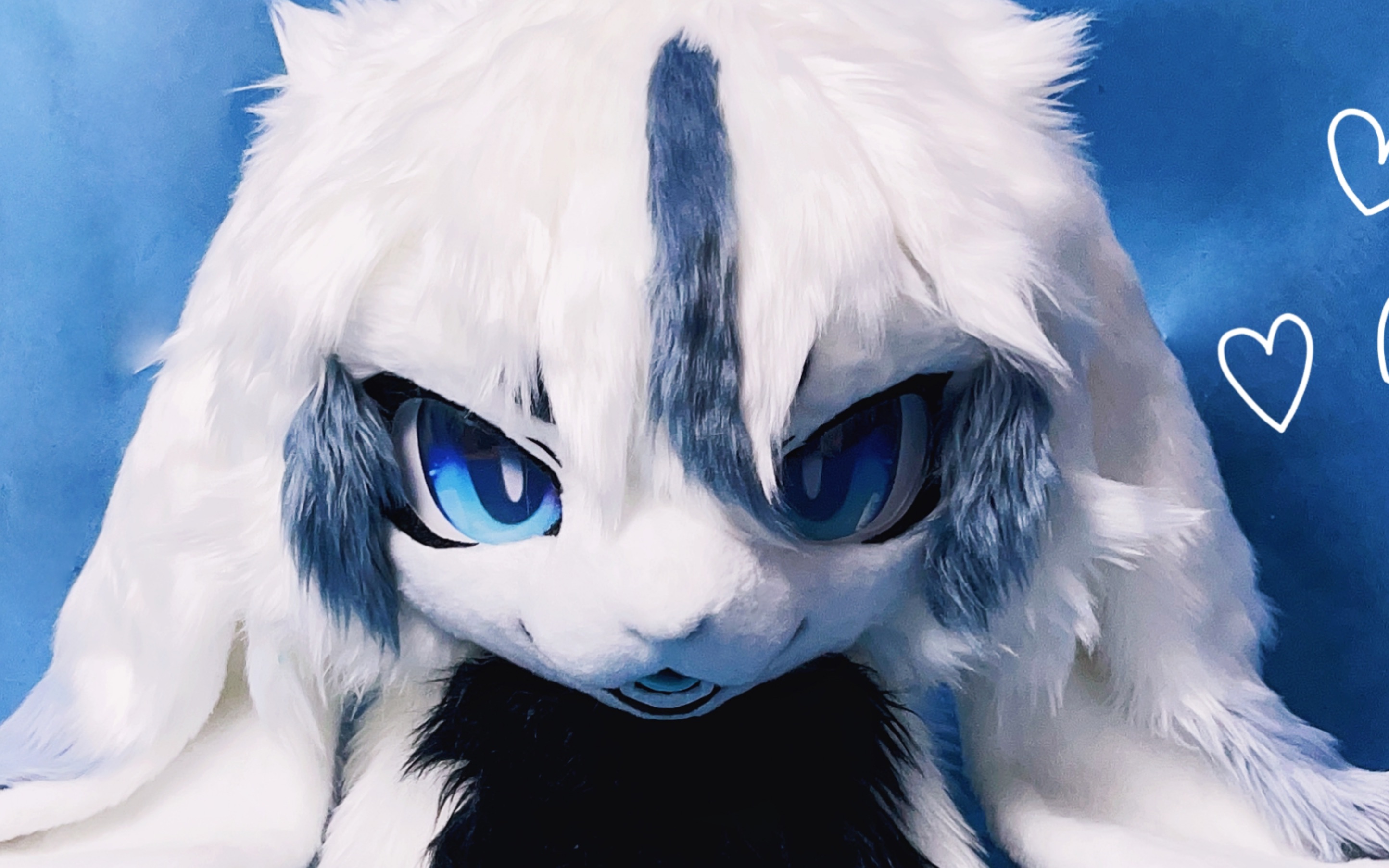 【兽装fursuit】兔兔龙!