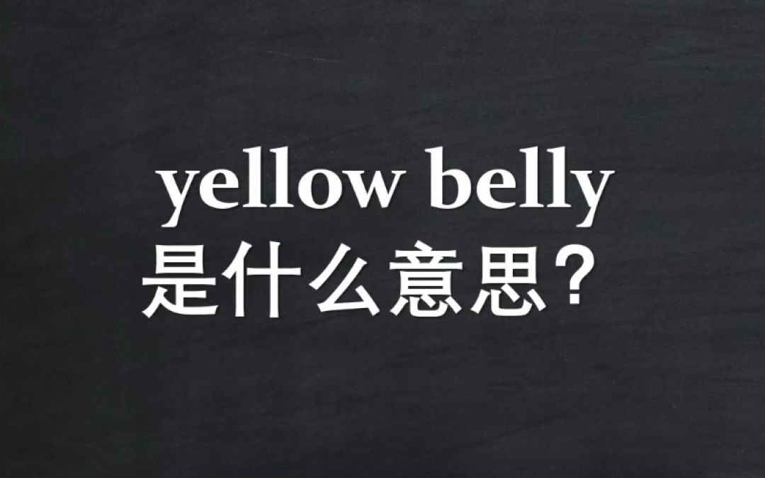 Yellow belly是什么意思?哔哩哔哩bilibili