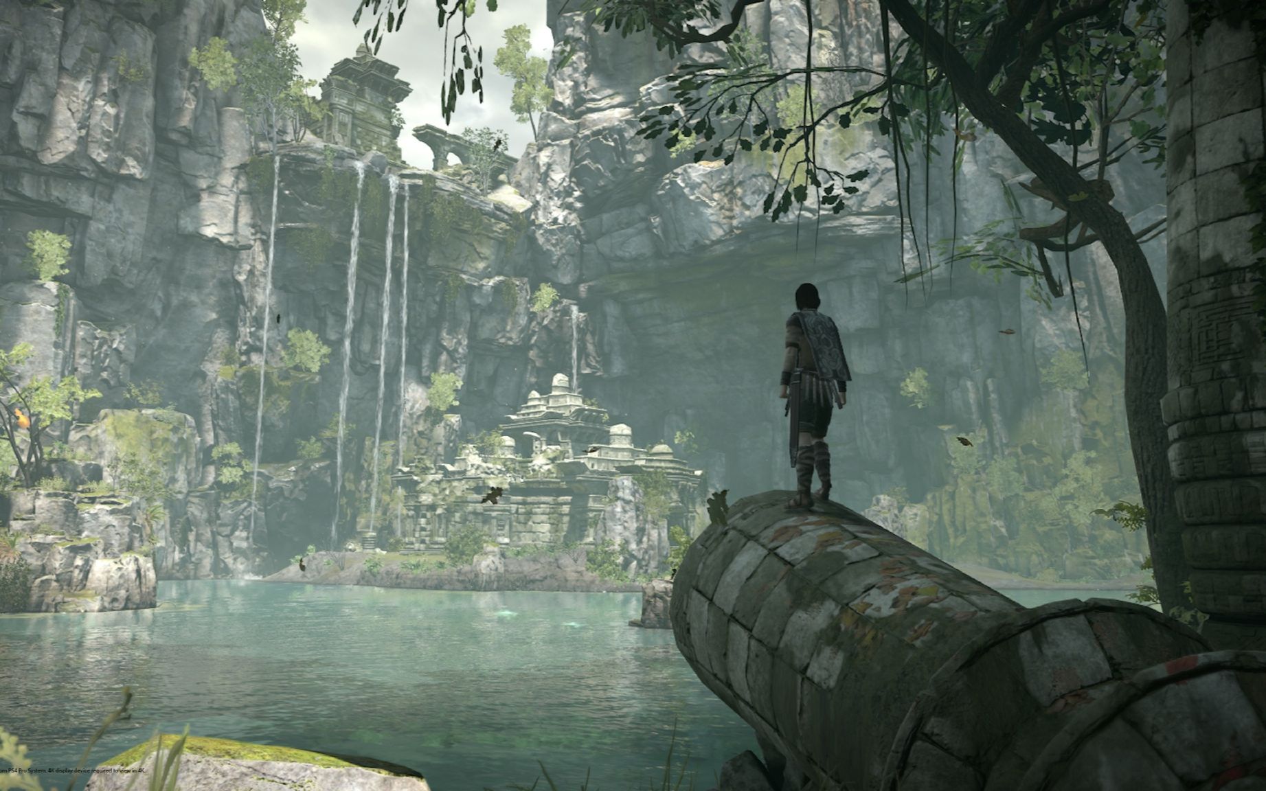 随义旺达与巨像重制版攻略流程解说第三期海鲜巨像特辑
