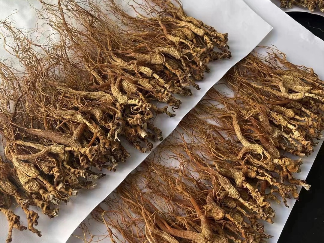 【人参世家杜把头】新作上线,快来看看!