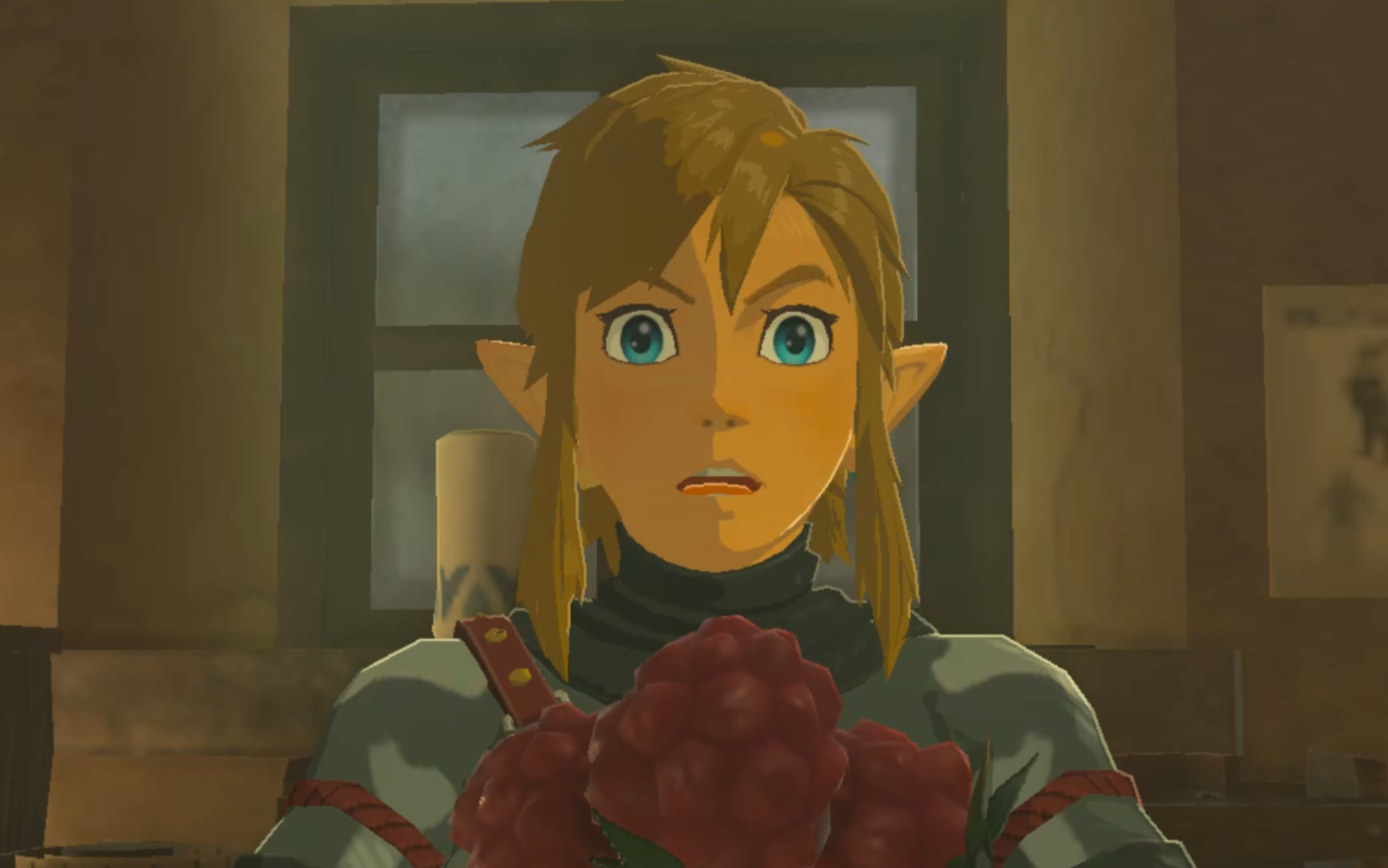 林克惊恐表情观察 (染衣服)_哔哩哔哩_bilibili