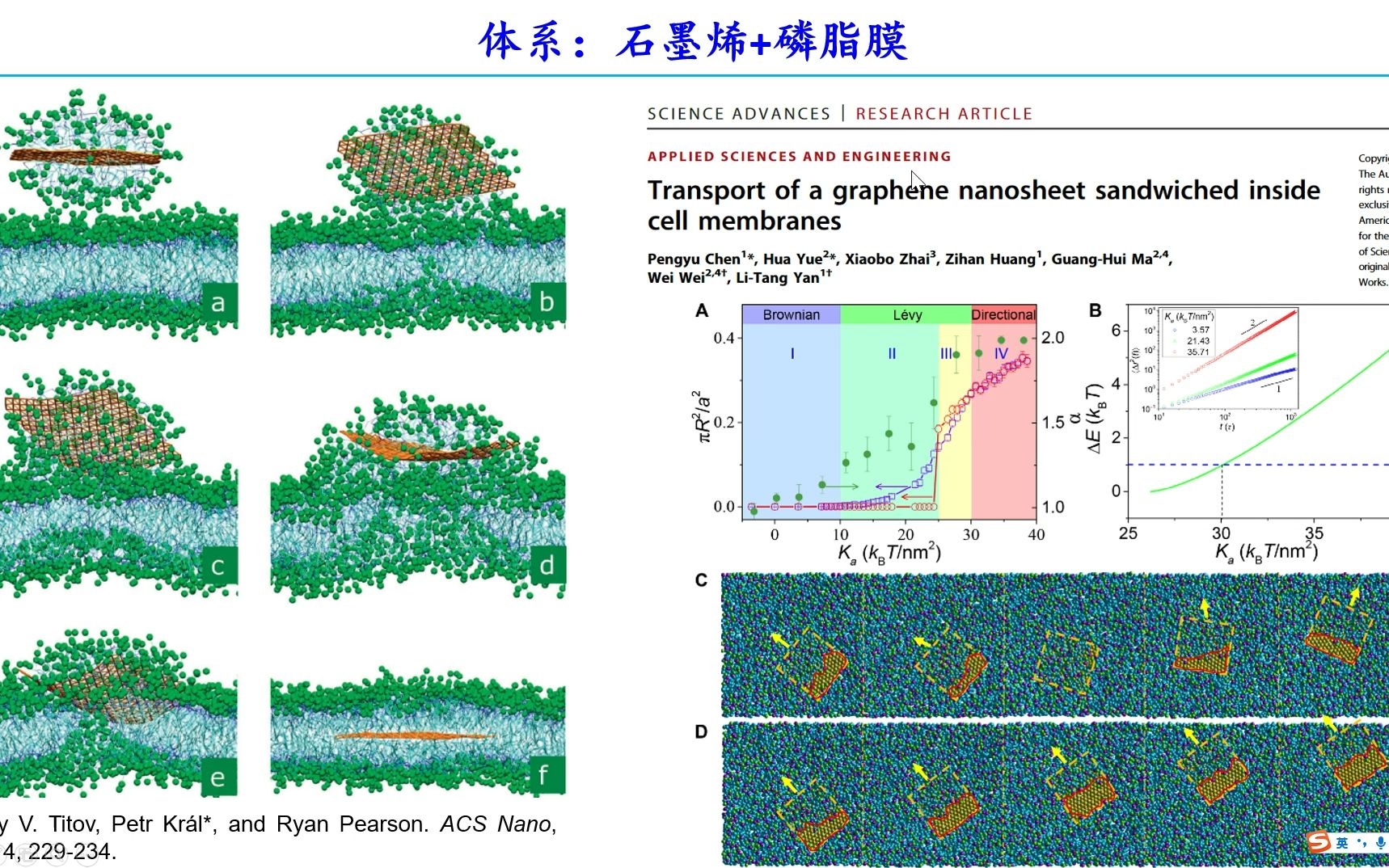 生物分子模拟第四讲纳米生物体系的分子动力学模拟哔哩哔哩bilibili