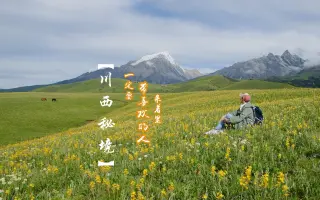 草原花海 搜索结果 哔哩哔哩 Bilibili
