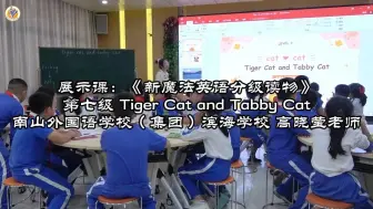 Download Video: 《新魔法英语分级读物》第七级别 Tiger Cat and Tabby Cat 南山外国语学校（集团）滨海学校高晓莹老师——小学英语绘本阅读教学课例