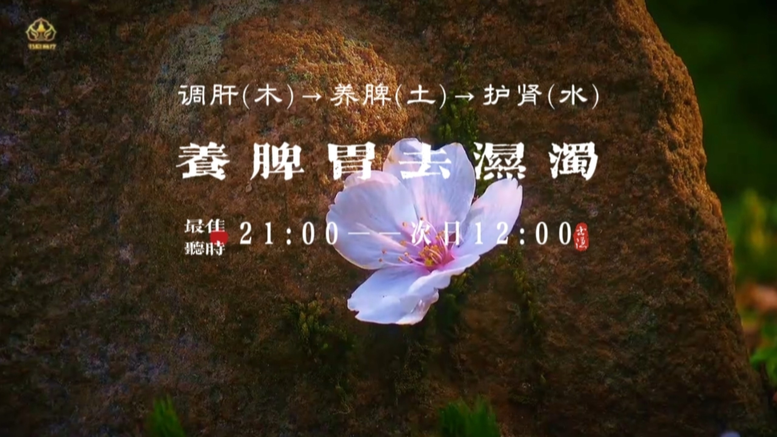 【养脾胃去湿浊】调肝木减少克脾，养脾土渗水利湿，护肾水降泄肝火。(烦躁易怒失眠多梦，胸闷气短思虚过重，疲劳乏力脸色发黄，记忆减退头晕眼花，腰酸腿软等可多听用)