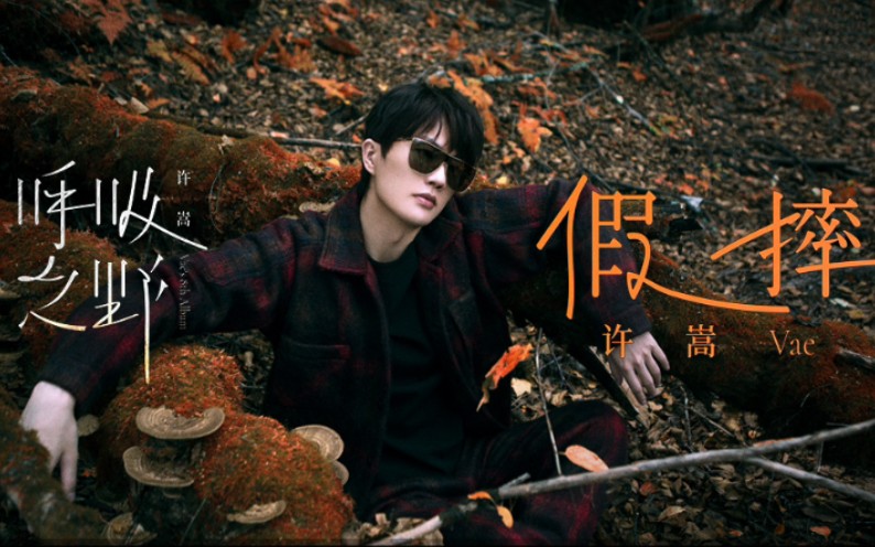 许嵩第八张专辑呼吸之野第二首主打歌假摔