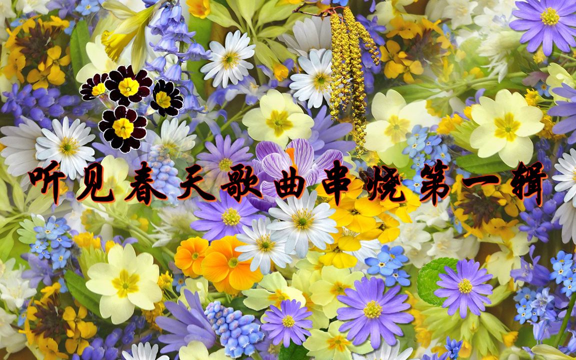 听见春天-歌曲串烧-第一辑