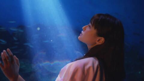 中島愛 水槽 Mv 哔哩哔哩
