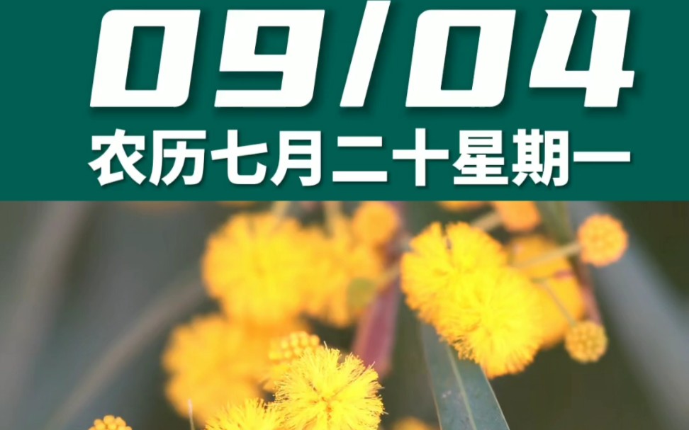 早上好啊今天是2023年9月4日星期一 处女座农历七月二十 乙丑日十二建除的执日 明堂黄道日,喜神在西北 财神在东北幸运数字:7、8哔哩哔哩bilibili