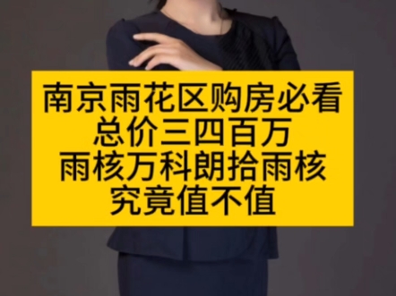 南京雨花台区购房必看:总价三四百万,雨核万科朗拾雨核,究竟值不值哔哩哔哩bilibili