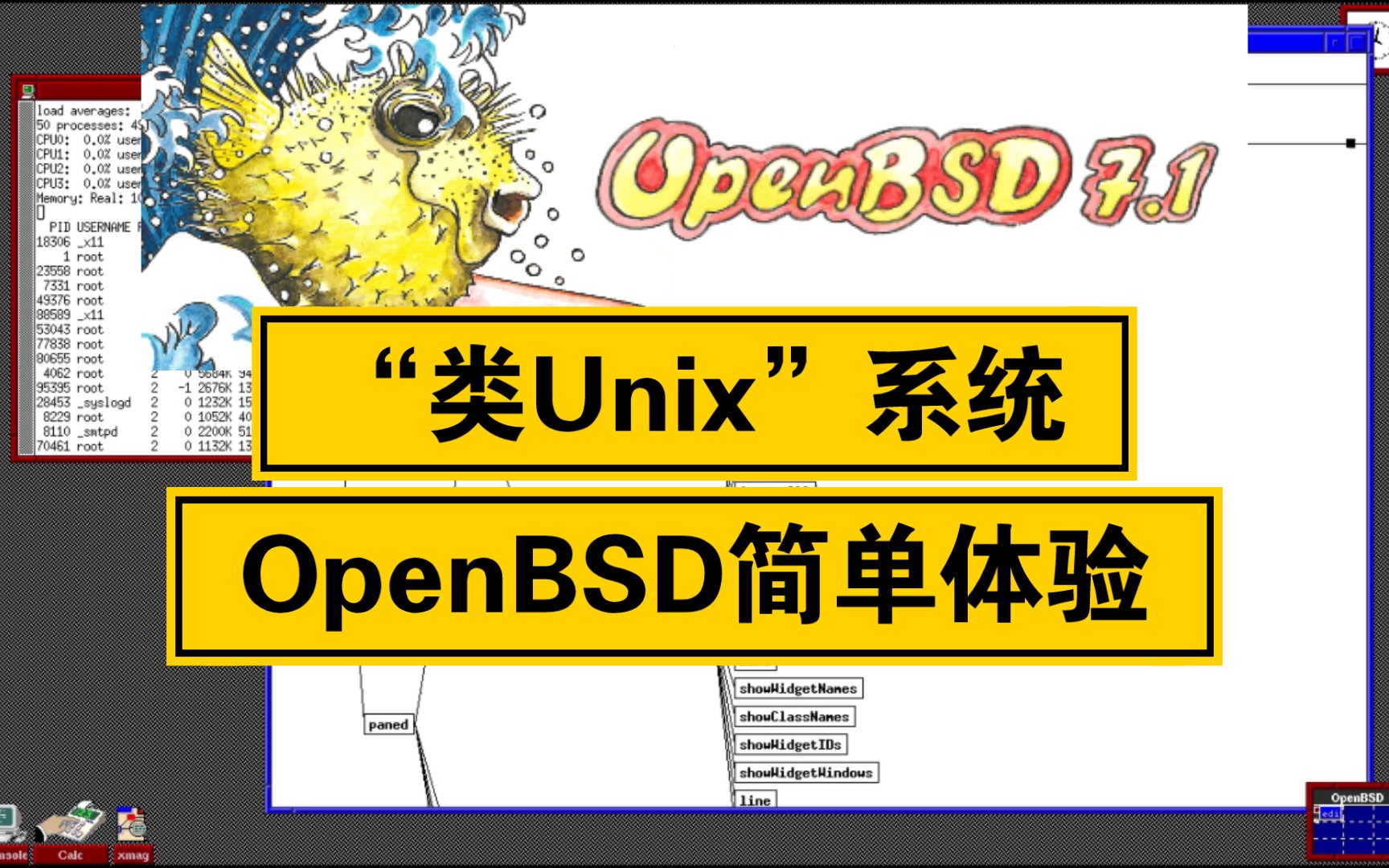 【凛白】“类Unix”系统——OpenBSD简单体验哔哩哔哩bilibili