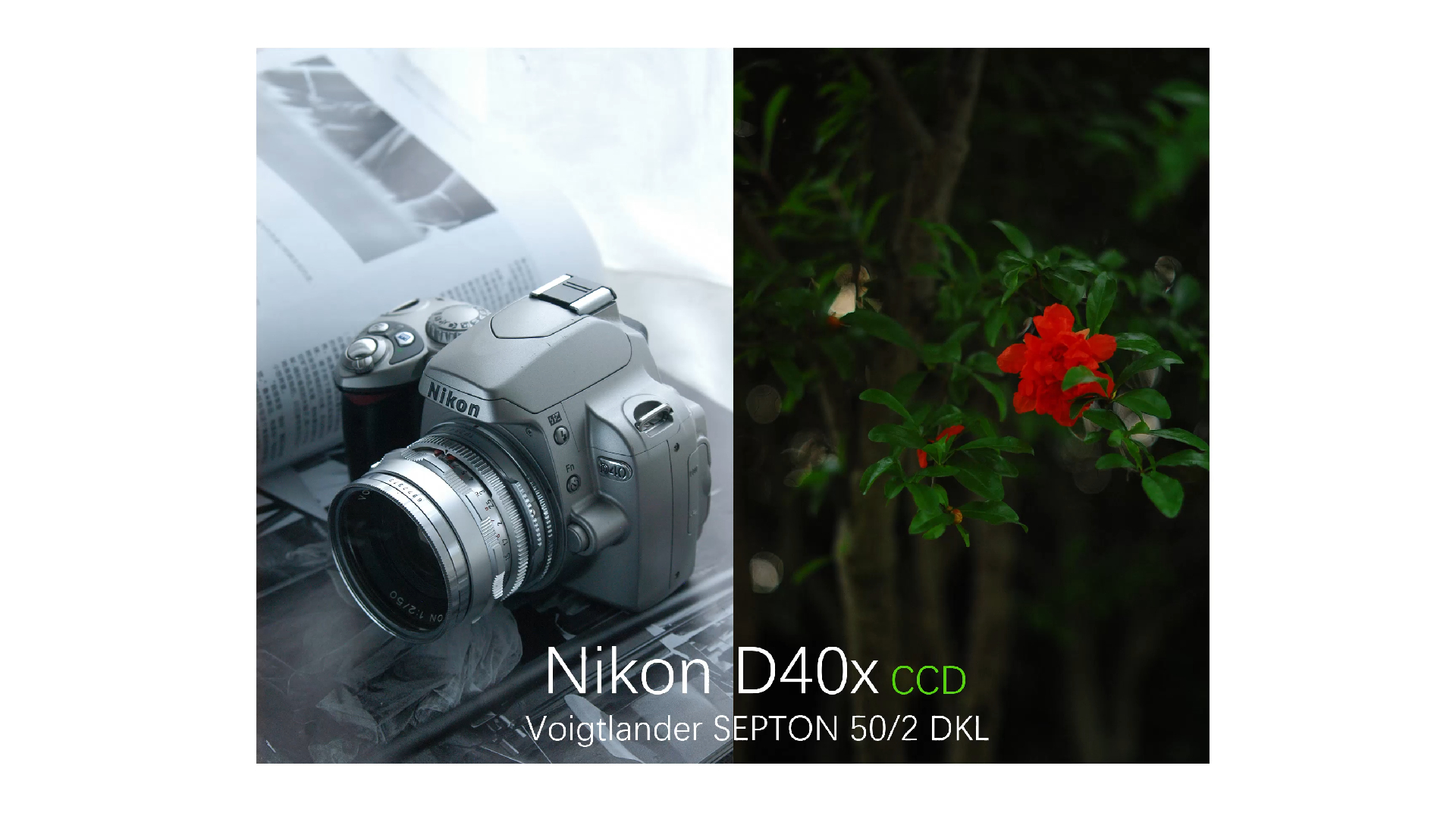 Nikon |老单反相机能不能拍照呢?|福伦达DKL|尼康D40 照片直出| 在杭州我楼下风景就很美|哔哩哔哩bilibili