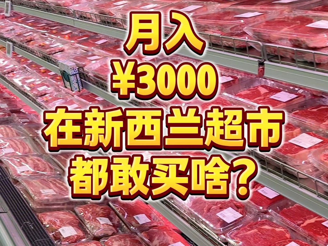 月薪3000敢进新西兰的超市吗?哔哩哔哩bilibili