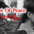中国外交只为“和平”！【周深】张野合作电音新歌《Heart Of Peace》“外交版”MV（钢镚小豆豆自制）