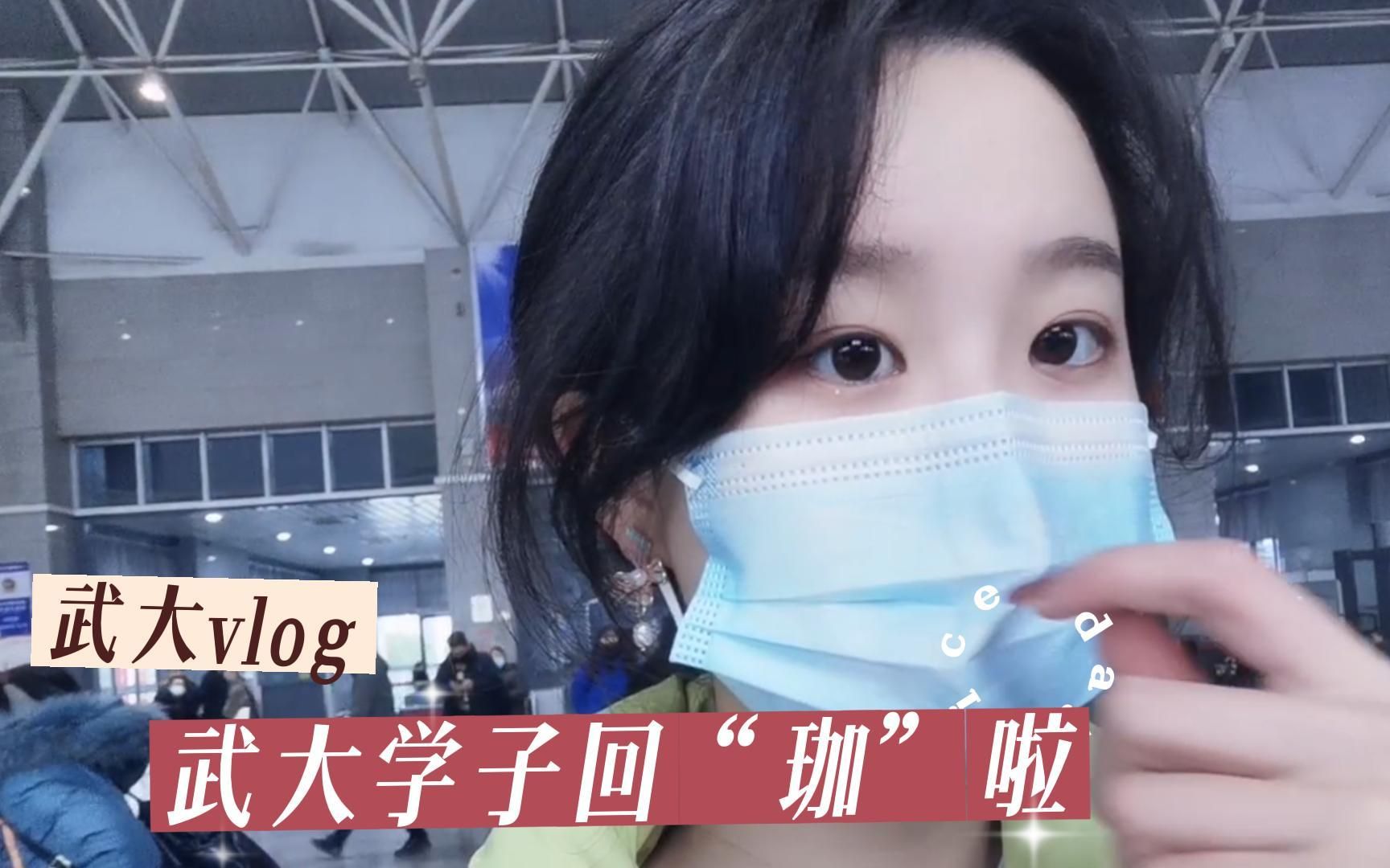 武大学子回“珈”vlog哔哩哔哩bilibili