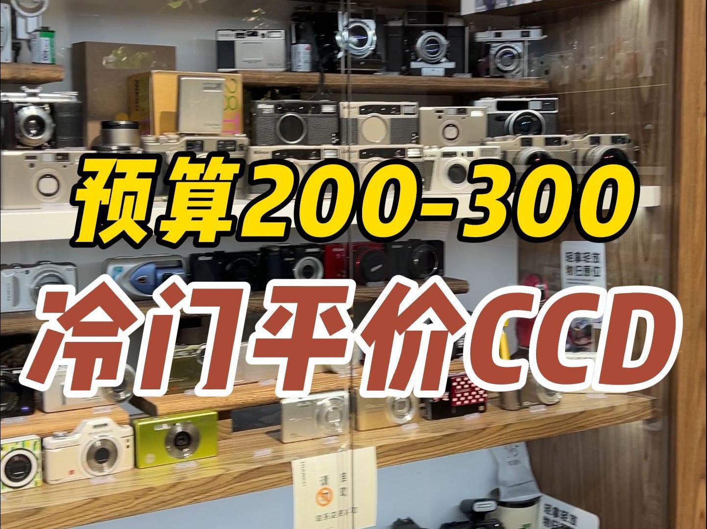 300以内出片超绝的平价冷门ccd!甚至有机皇佳能的平替哔哩哔哩bilibili