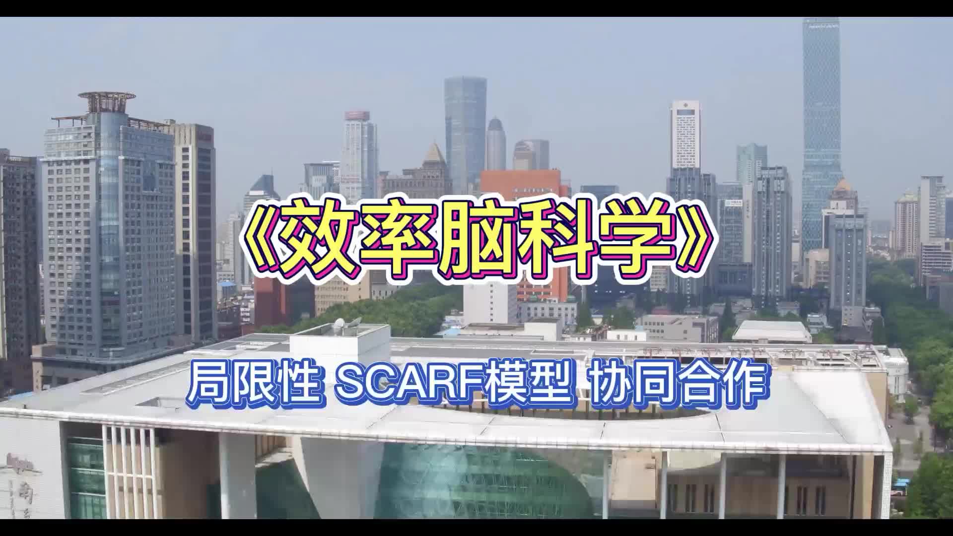 [图]《效率脑科学》局限性 SCARF模型 协同合作