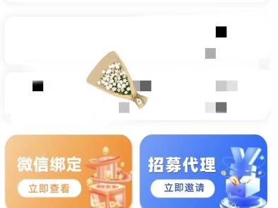 宸宇号卡诚招一级代理 佣金免税 快来加入哔哩哔哩bilibili