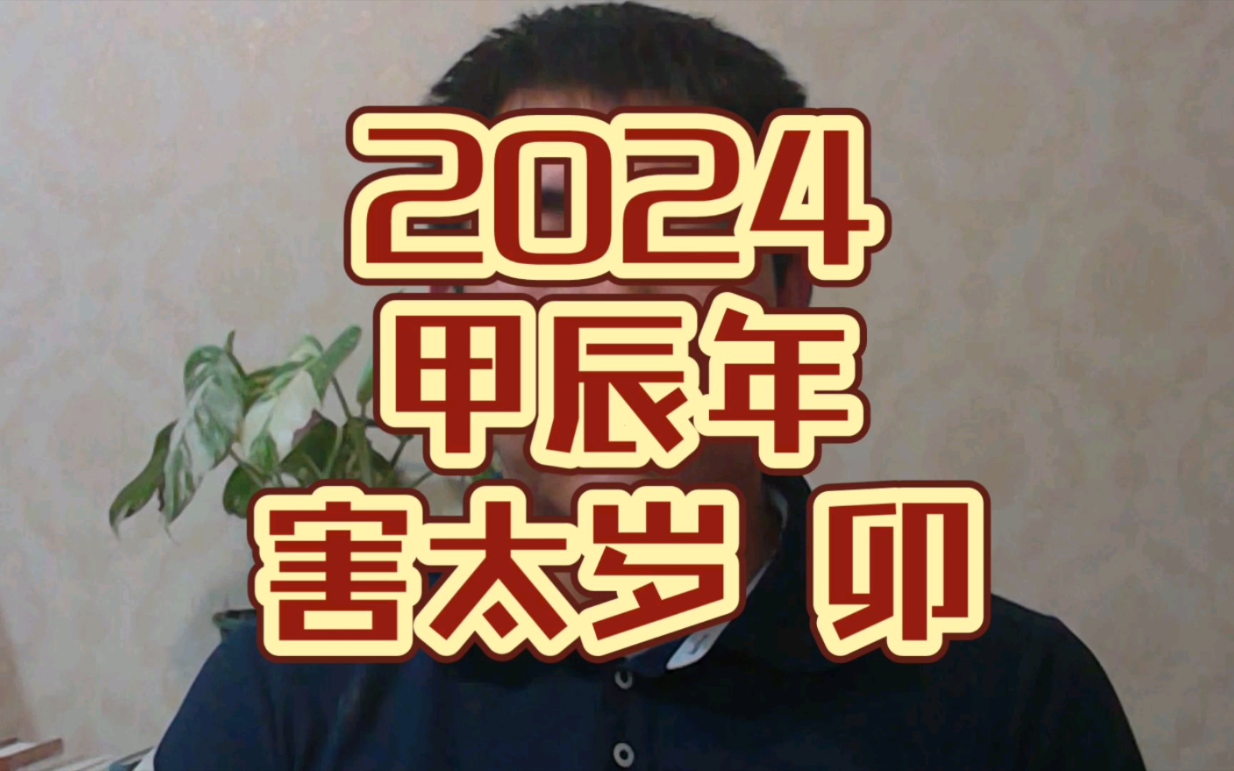 2024甲辰年害太岁地支卯的表现哔哩哔哩bilibili